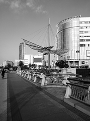 东丽公司注册